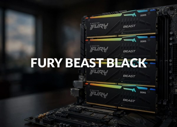 Fury Beast Black