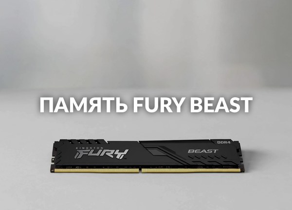 Память Fury Beast