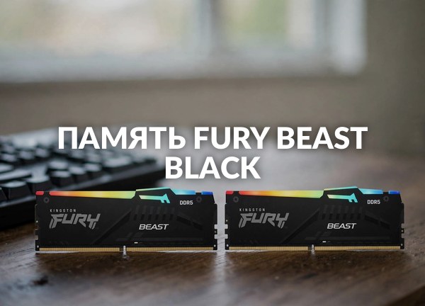 Память Fury Beast Black
